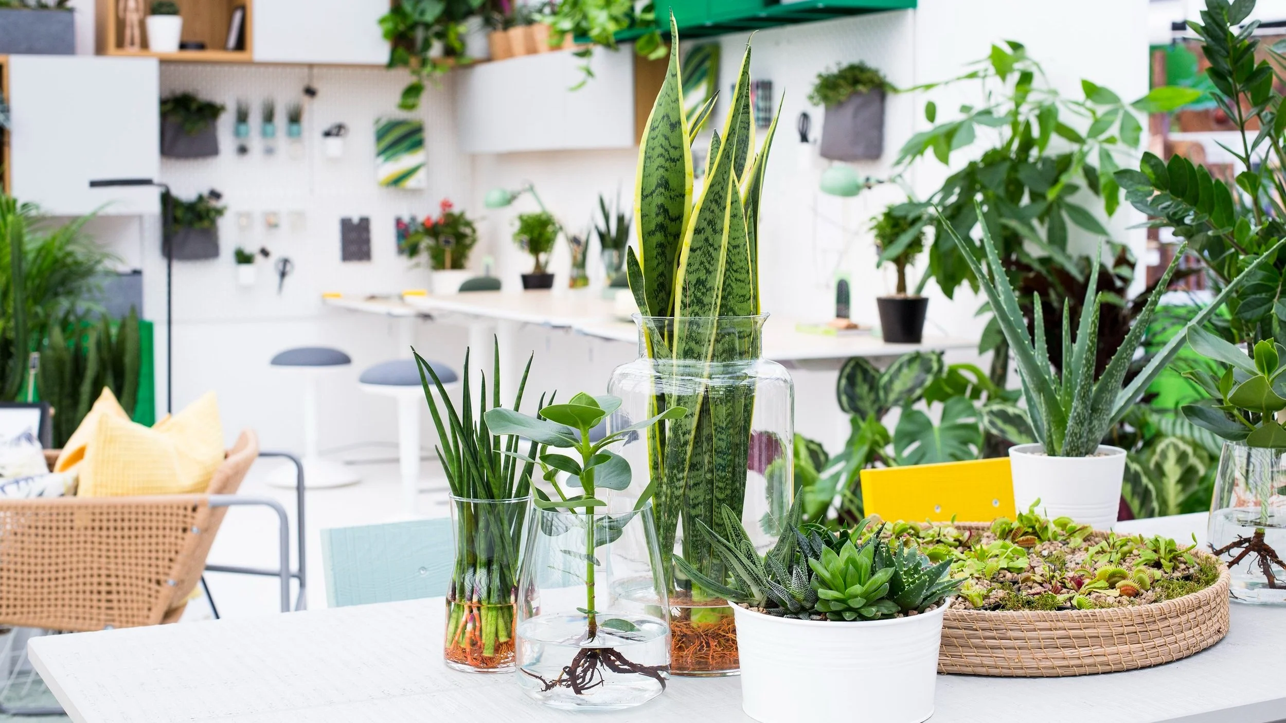 Corporate gifting products